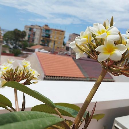 Apartamento Plumaria Málaga Eksteriør bilde